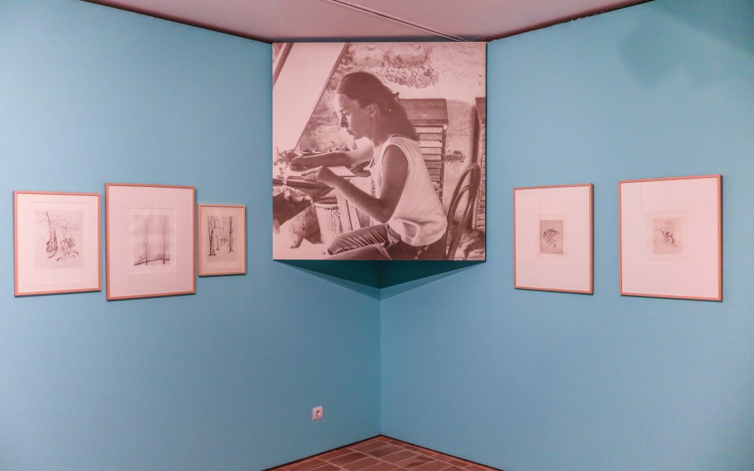 Visita guiada a l’exposició «Autour. Els hàbitats de Nicole Florensa»